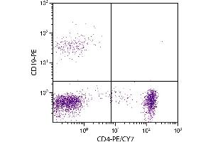 Human peripheral blood lymphocytes were stained with Mouse Anti-Human CD4-PE/CY7. (CD4 antibody  (PE-Cy7))