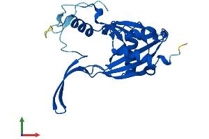 AlphaFold protein structure predicition of Mouse Recombinant Nudt14 Protein, UniprotID Q9D142 (NUDT14 Protein (AA 1-222) (His tag))