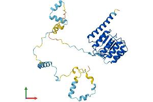Protein Structure (PS) image for Tropomodulin 3 (TMOD3) (AA 1-352) protein (His tag) (ABIN7544657)
