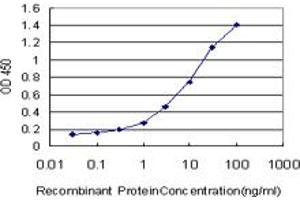 Detection limit for recombinant GST tagged SERPINB2 is approximately 0. (SERPINB2 antibody  (AA 1-100))