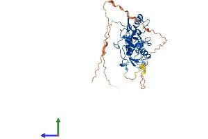 AlphaFold protein structure predicition of Human Recombinant PHF7 Protein, UniprotID Q9BWX1 (PHF7 Protein (AA 1-381) (His tag))