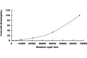 ELISA image for Transferrin (TF) CLIA Kit (ABIN492327)