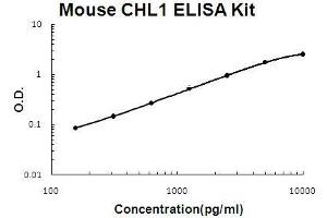 CHL1 ELISA Kit