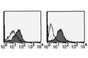 Flow Cytometry (FACS) image for anti-Alanyl (Membrane) Aminopeptidase (ANPEP) antibody (ABIN1449277) (CD13 antibody)