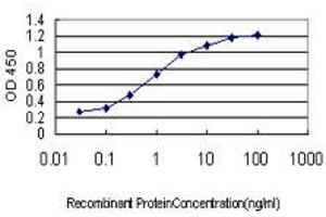 Detection limit for recombinant GST tagged NEUROD1 is approximately 0. (NEUROD1 antibody  (AA 201-300))