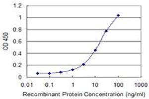 Detection limit for recombinant GST tagged TNIK is 0. (TNIK antibody  (AA 1-110))