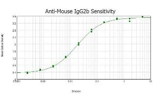 ELISA results of purified Rabbit anti-Mouse IgG2b (Gamma 2B Chain) antibody tested against purified Mouse IgG2b. (Rabbit anti-Mouse IgG2b (Heavy Chain) Antibody - Preadsorbed)