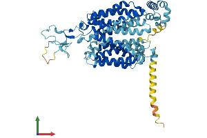 Protein Structure (PS) image for Solute Carrier Family 22 Member 6 (SLC22A6) (AA 1-545) protein (His tag) (ABIN7564725)
