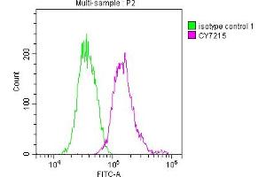 Overlay histogram showing Jurkat cells stained with ABIN7127335 (red line) at 1:50. (Recombinant ALIX antibody)