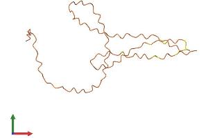 AlphaFold protein structure predicition of Mouse Recombinant Krtap12-1 Protein, UniprotID Q9Z287 (KRTAP12-1 Protein (AA 1-130) (His tag))