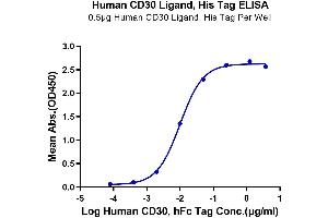 Immobilized Human CD30 Ligand, His Tag at 5 μg/mL (100 μL/well) on the plate. (TNFSF8 Protein (AA 63-234) (His tag))