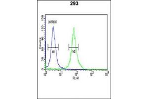 Flow cytometric analysis of 293 cells using KM2 Antibody (N-term) Cat. (PKM2 antibody  (N-Term))