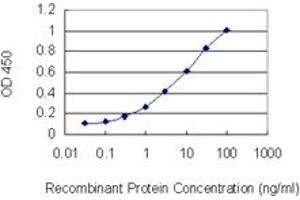 Detection limit for recombinant GST tagged FRMD3 is 0. (FRMD3 antibody  (AA 393-480))