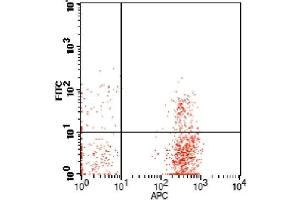 Flow Cytometry (FACS) image for anti-5'-Nucleotidase, Ecto (CD73) (NT5E) antibody (FITC) (ABIN2144684) (CD73 antibody  (FITC))