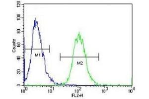 Aurora-A antibody flow cytometric analysis of HeLa cells (green) compared to a negative control (blue). (Aurora A antibody  (AA 364-392))