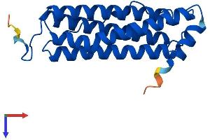 FTH1 Protein (AA 1-183) (His tag)