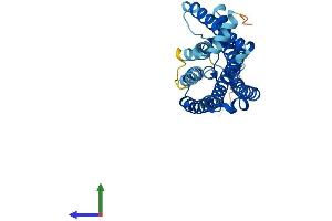 AlphaFold protein structure predicition of Human Recombinant OR3A3 Protein, UniprotID P47888