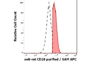 Separation of rat CD28 positive splenocytes (red-filled) from CD28 negative splenocytes (black-dashed) in flow cytometry analysis (surface staining) of rat splenocytes suspension stained using anti-rat CD28 (JJ319) purified antibody (concentration in sample 4 μg/mL) GAM APC. (CD28 antibody)