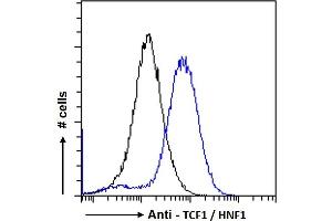 ABIN334504 Flow cytometric analysis of paraformaldehyde fixed HepG2 cells (blue line), permeabilized with 0. (HNF1A antibody  (Internal Region))