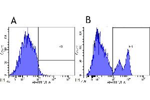 Flow-cytometry using anti-CD40 antibody G28. (Recombinant CD40 antibody)