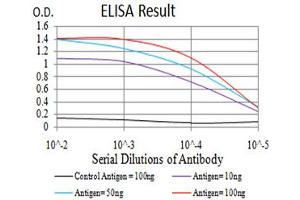 Fig. (JARID2 antibody  (AA 1097-1246))