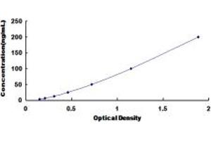 Typical standard curve (PCSK1 ELISA Kit)