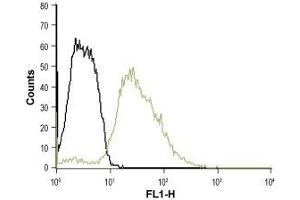 Cell surface detection of Serotonin receptor 3B in K562 intact living cells: (black line) Unstained cells (green line) Cells + Anti-5HT3B Receptor (HTR3B) (extracellular)-ATTO Fluor-488 Antibody, (ABIN7043623), (5-10 μg/0. (Serotonin Receptor 3B antibody  (Extracellular) (Atto 488))