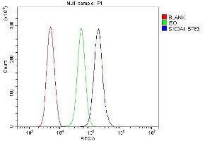 Flow Cytometry analysis of THP-1 cells using anti-S100A4 antibody (ABIN7600462). (s100a4 antibody  (AA 2-101))