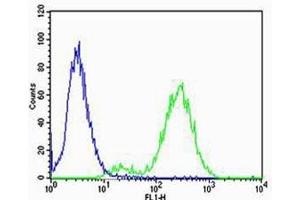 Flow cytometric analysis of Jurkat cells using CB2 antibody (green) compared to an isotype control of rabbit Ig (blue).