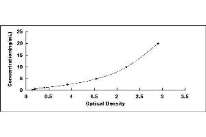 Typical standard curve (SDHB ELISA Kit)