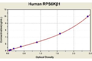Diagramm of the ELISA kit to detect Human RPS6Kbeta 1with the optical density on the x-axis and the concentration on the y-axis. (RPS6KB1 ELISA Kit)