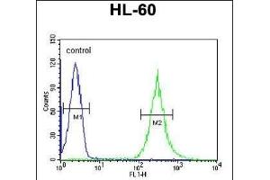EN Antibody (Center) (ABIN651116 and ABIN2840082) flow cytometric analysis of HL-60 cells (right histogram) compared to a negative control cell (left histogram). (ENPP7 antibody  (AA 286-313))
