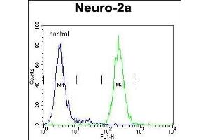 Flow Cytometry (FACS) image for anti-Synaptophysin (SYP) (AA 225-253), (C-Term) antibody (ABIN1881862)