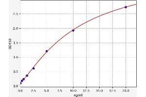 Typical standard curve