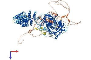 AlphaFold protein structure predicition of Mouse Recombinant Agtpbp1 Protein, UniprotID Q641K1 (AGTPBP1 Protein (AA 1-1218) (His tag))