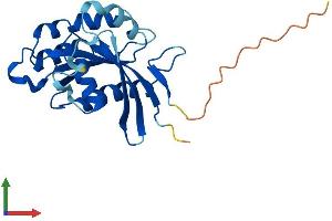 Protein Structure (PS) image for RAB39A, Member RAS Oncogene Family (RAB39A) (AA 1-217) protein (His tag) (ABIN7558628)