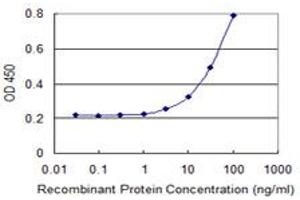 Detection limit for recombinant GST tagged C13orf31 is 1 ng/ml as a capture antibody. (LACC1 antibody  (AA 1-430))