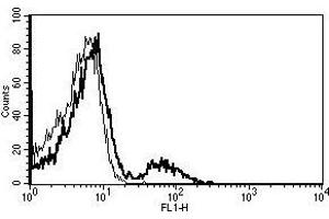 A typical staining pattern with the B-E5 monoclonal antibody of lymphocytes (CD21 antibody)