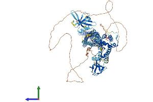 AlphaFold protein structure predicition of Human Recombinant ARHGAP42 Protein, UniprotID A6NI28 (ARHGAP42 Protein (AA 1-874) (His tag))