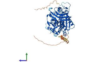 AlphaFold protein structure predicition of Human Recombinant AGBL4 Protein, UniprotID Q5VU57 (AGBL4 Protein (AA 1-503) (His tag))
