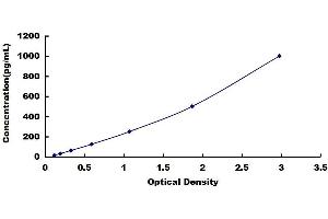 Typical standard curve (ACE2 ELISA Kit)