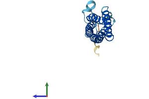 AlphaFold protein structure predicition of Human Recombinant MALL Protein, UniprotID Q13021 (Mal, T-Cell Differentiation Protein-Like (Mall) (AA 1-153) protein (His tag))