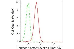 Flow cytometric analysis of forkhead box A1 expression in HepG2 cells using forkhead box A1 antibody (ABIN7798641), 1:2,000).
