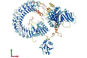 AlphaFold protein structure predicition of Human Recombinant FLII Protein, UniprotID Q13045