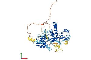 Protein Structure (PS) image for Tubulin tyrosine Ligase-Like Family, Member 9 (TTLL9) (AA 1-439) protein (His tag) (ABIN7544887)