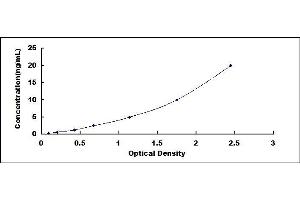 Typical standard curve (THBS4 ELISA Kit)