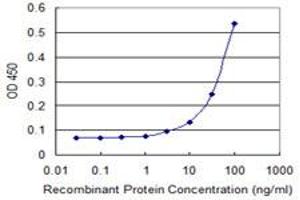 Detection limit for recombinant GST tagged MIB1 is 3 ng/ml as a capture antibody. (MIB1 antibody  (AA 909-1006))