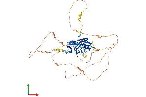 AlphaFold protein structure predicition of Human Recombinant TBX21 Protein, UniprotID Q9UL17 (T-Bet Protein (AA 1-535) (His tag))