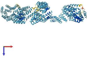 AlphaFold protein structure predicition of Human Recombinant TTC21B Protein, UniprotID Q7Z4L5