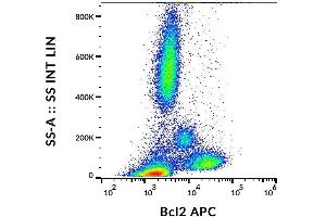 Flow cytometry intracellular staining pattern of human peripheral whole blood stained using anti-human BCL-2 (Bcl-2/100) APC antibody (10 μL reagent / 100 μL of peripheral whole blood). (Bcl-2 antibody  (AA 41-54) (APC))